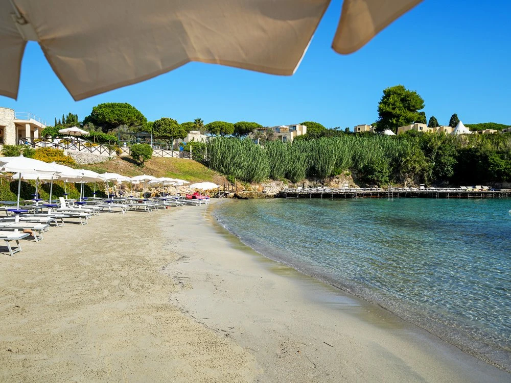 43842_Foto_Tv_Dei_Viaggi_pubblicazione_2025_z_.webp