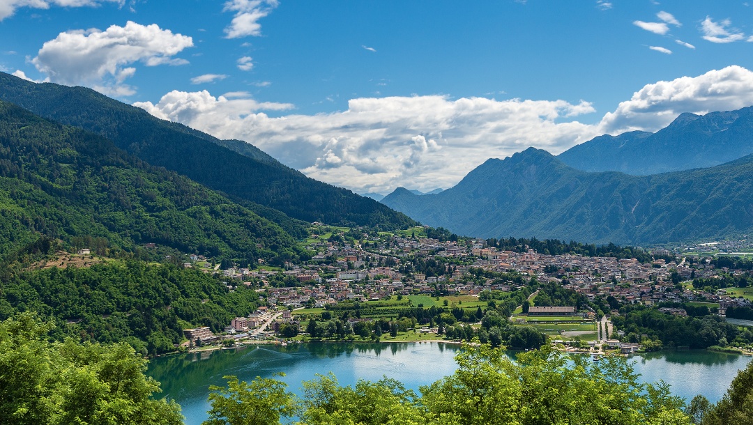 LEVICOTERME.jpg
