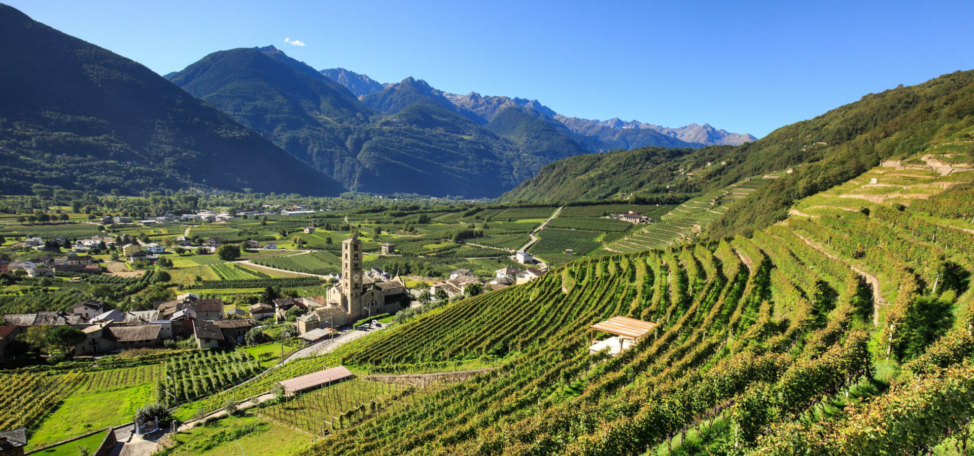 Valtellina.jpg