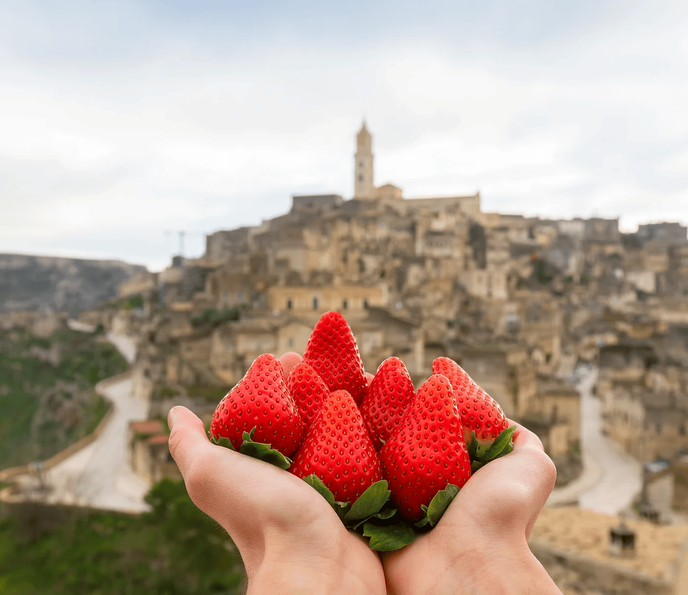 fragole-Matera.png