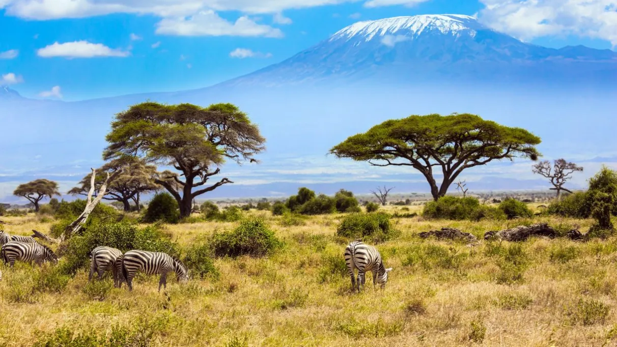 kenya-nazione.webp
