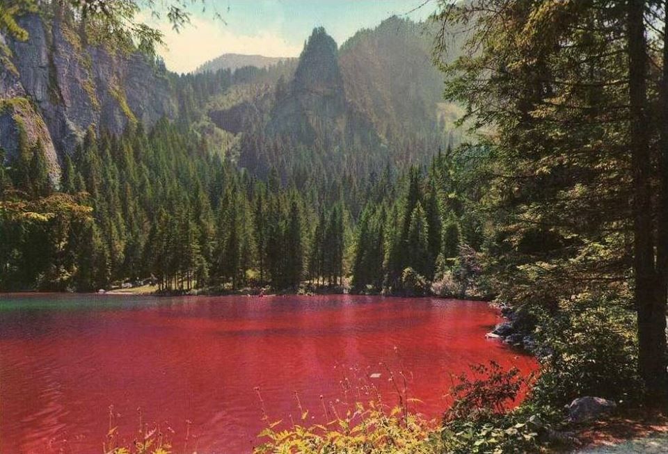 lago-di-tovel-lago-rosso-Gino-De-Concini.jpg