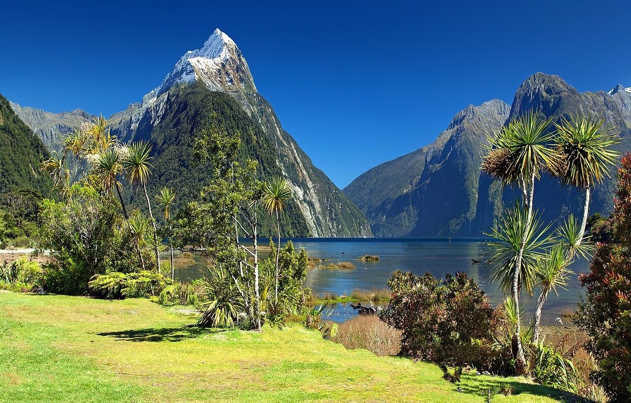 new-zealand.jpg
