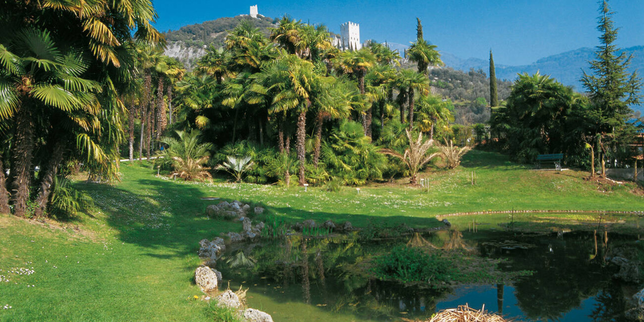 parco-arciducale-arboreto_2.0ba68a72.jpg