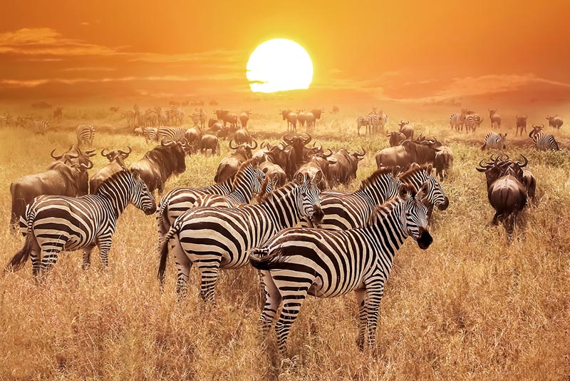 tanzania 2022 1