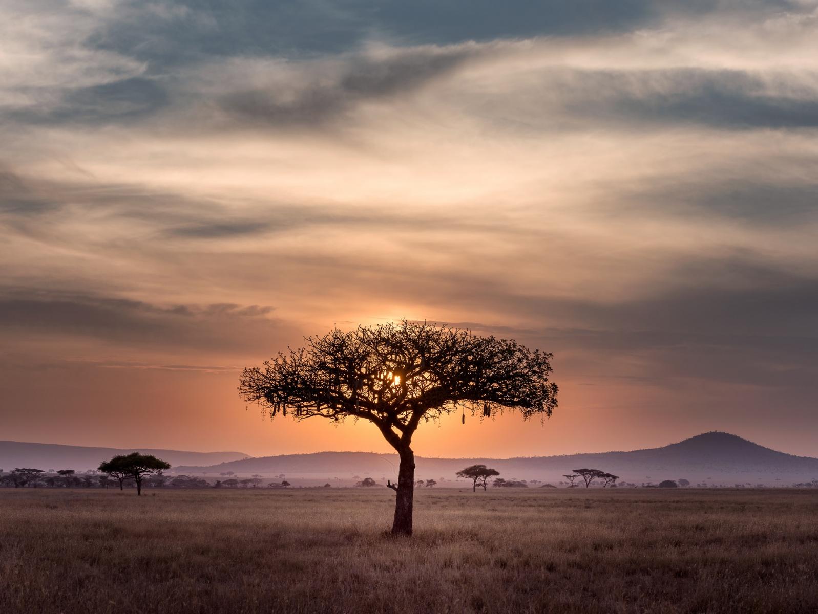 tanzania 2022 4